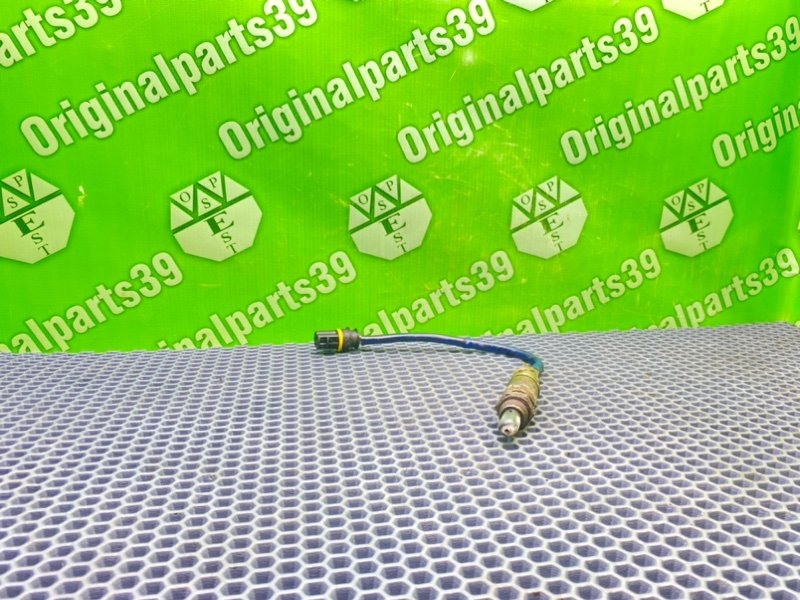 Лямбда зонд, 1000 рублей, Калининград