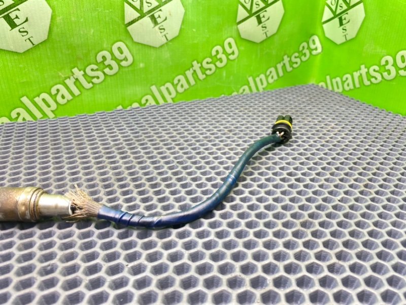 Лямбда зонд, 1000 рублей, Калининград