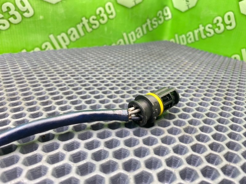 Лямбда зонд, 1000 рублей, Калининград