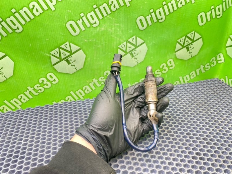 Лямбда зонд, 1000 рублей, Калининград