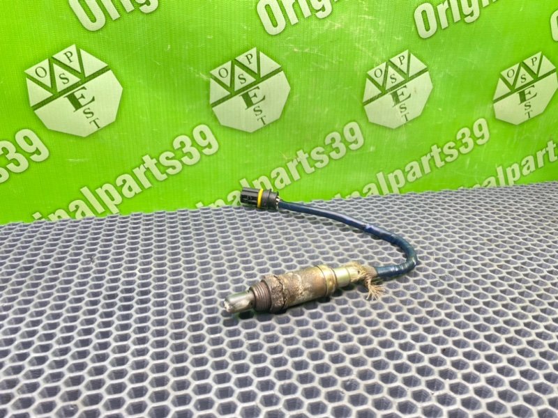 Лямбда зонд, 1000 рублей, Калининград