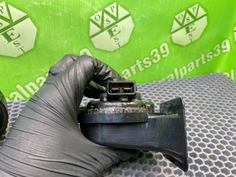 Звуковой сигнал, 2100 рублей, Калининград