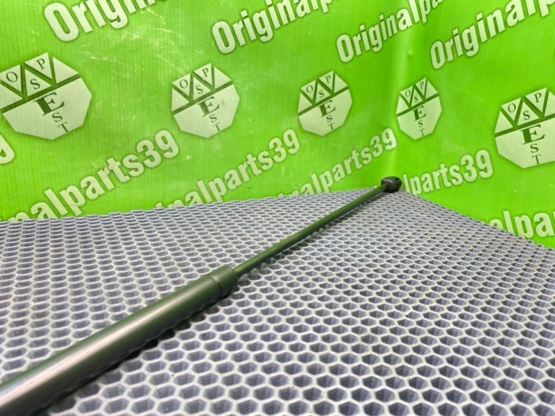 Амортизатор капота, 900 рублей, Калининград