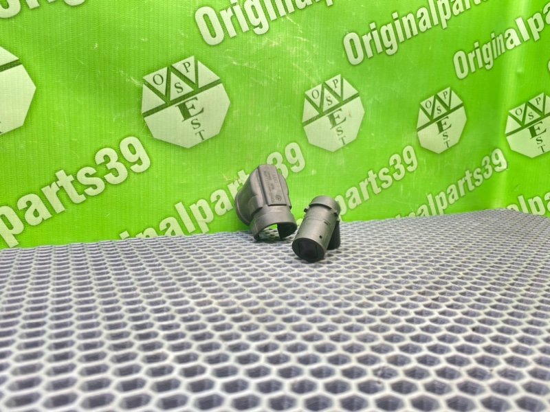 Парктроник, 1200 рублей, Калининград