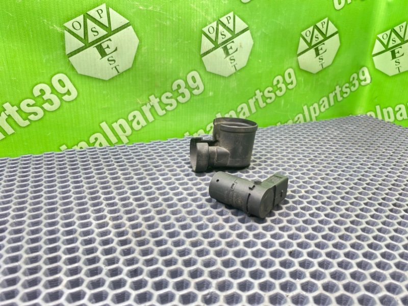 Парктроник, 1200 рублей, Калининград