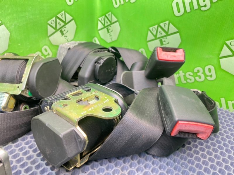 Ремни, 1000 рублей, Калининград