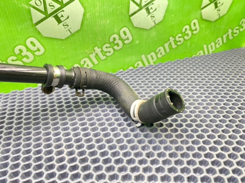 Трубка Гур, 1000 рублей, Калининград