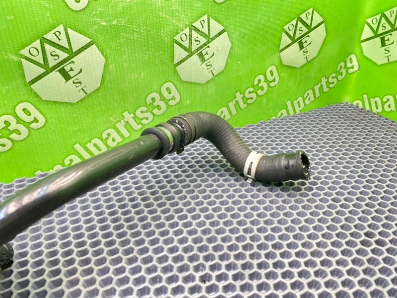 Трубка Гур, 1000 рублей, Калининград