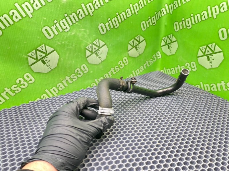 Трубка Гур, 1000 рублей, Калининград