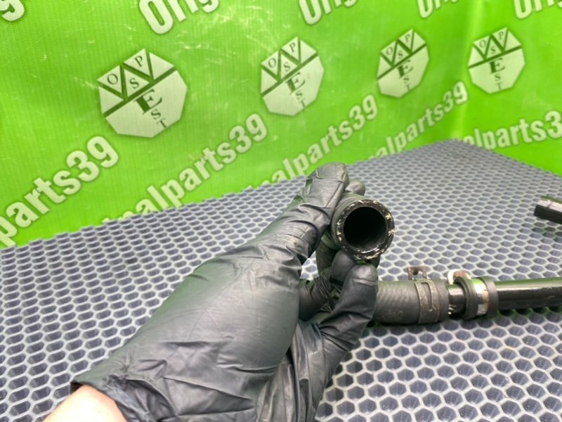 Трубка Гур, 1000 рублей, Калининград