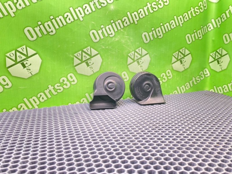 Звуковой сигнал, 1600 рублей, Калининград