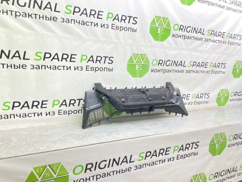 Жабо, 1000 рублей, Калининград