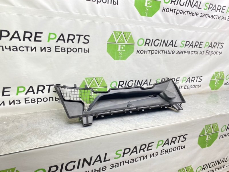 Жабо, 1000 рублей, Калининград