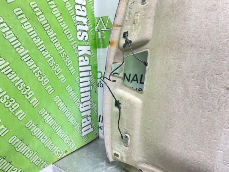 Потолок, 3600 рублей, Калининград