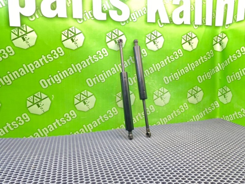 Амортизаторы багажника, 1300 рублей, Калининград