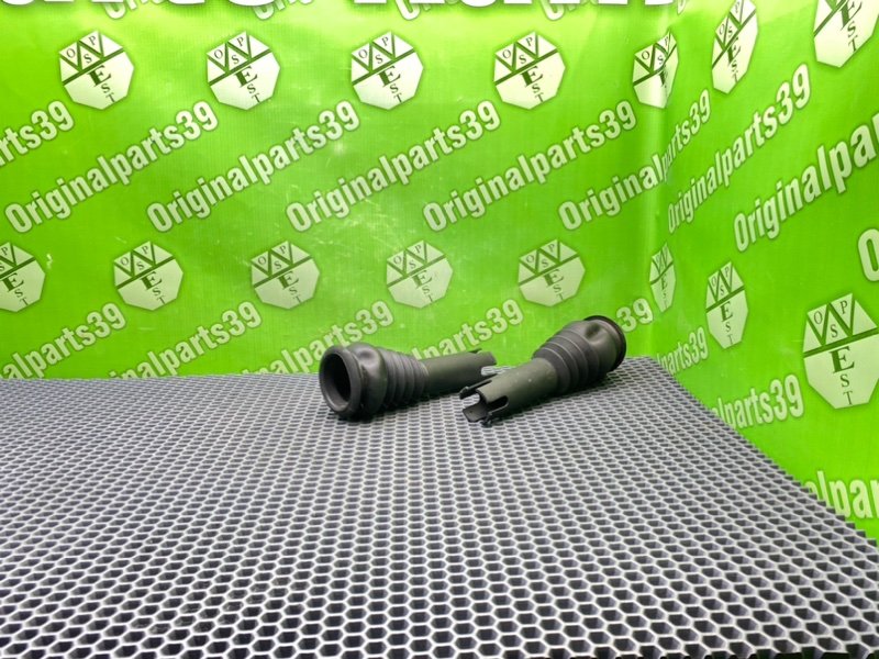 Пыльник, 800 рублей, Калининград