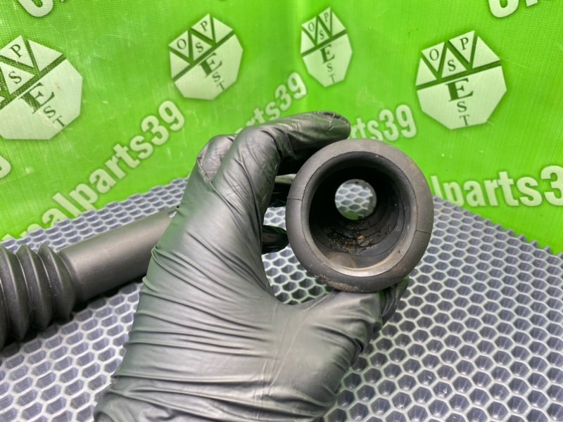 Пыльник, 800 рублей, Калининград