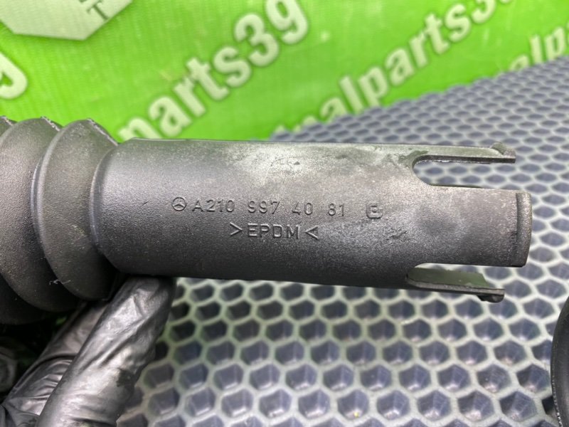 Пыльник, 800 рублей, Калининград