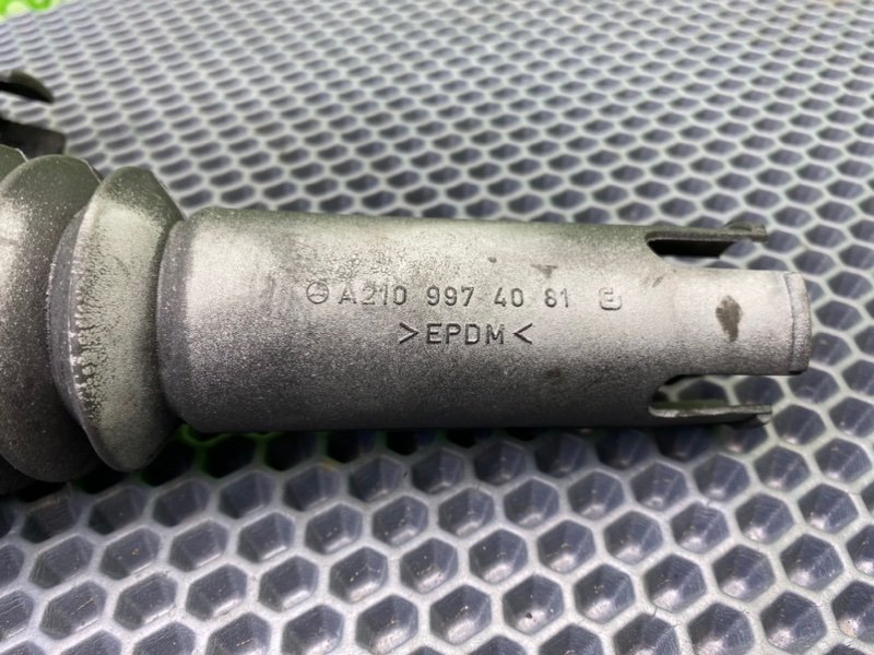 Пыльник, 800 рублей, Калининград