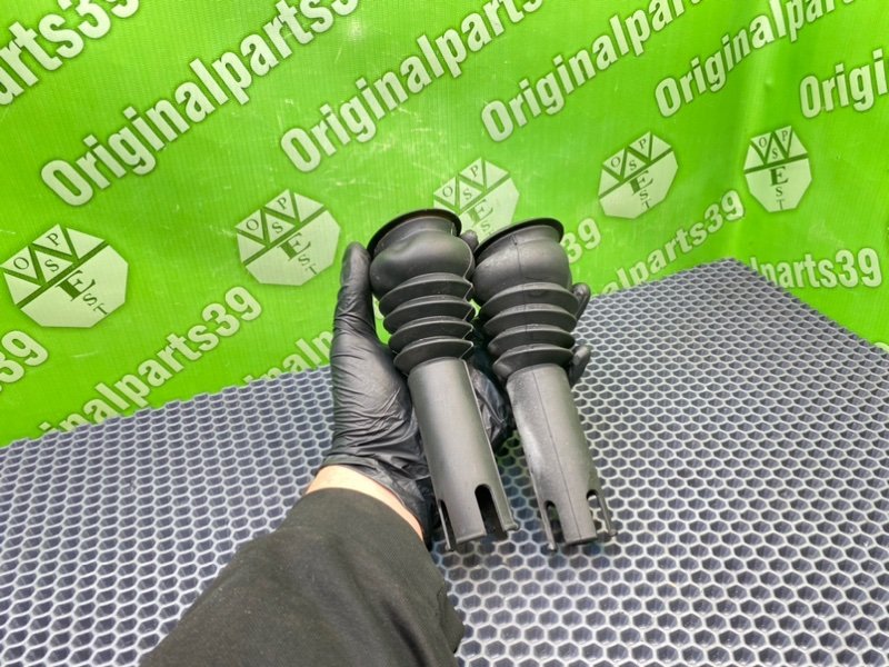 Пыльник, 800 рублей, Калининград