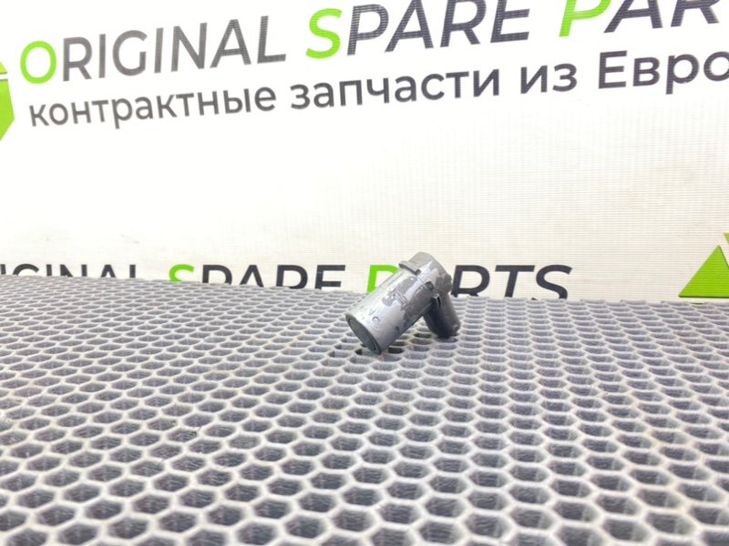 Парктроник, 1000 рублей, Калининград