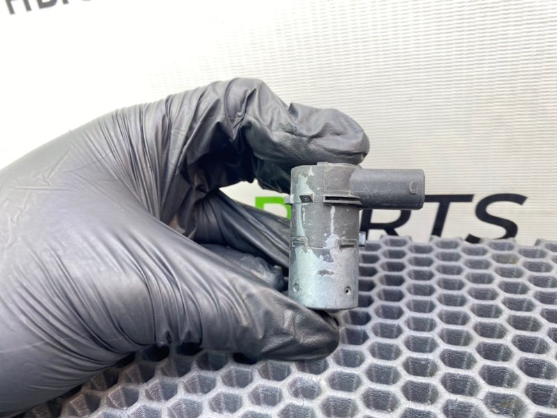 Парктроник, 1000 рублей, Калининград