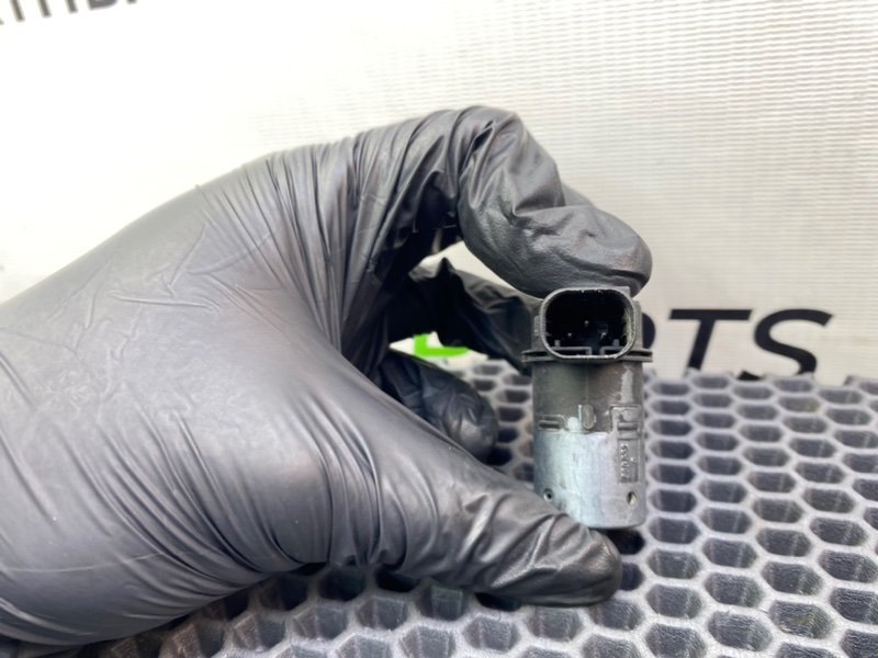 Парктроник, 1000 рублей, Калининград