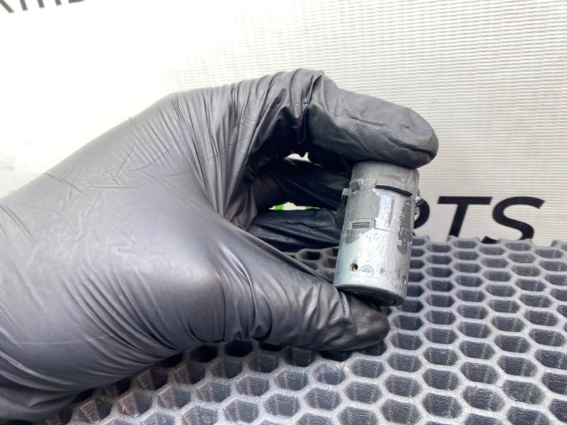 Парктроник, 1000 рублей, Калининград