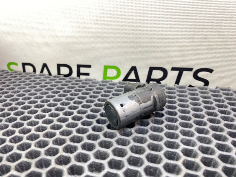 Парктроник, 1000 рублей, Калининград