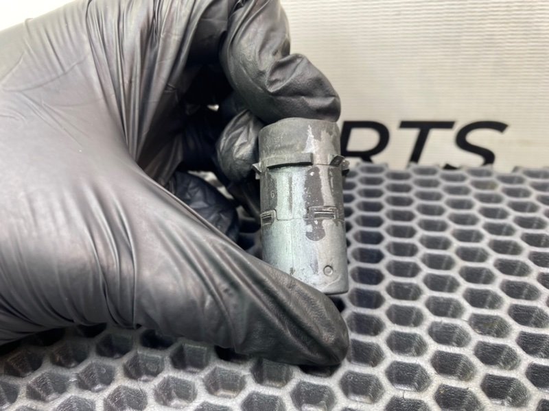 Парктроник, 1000 рублей, Калининград