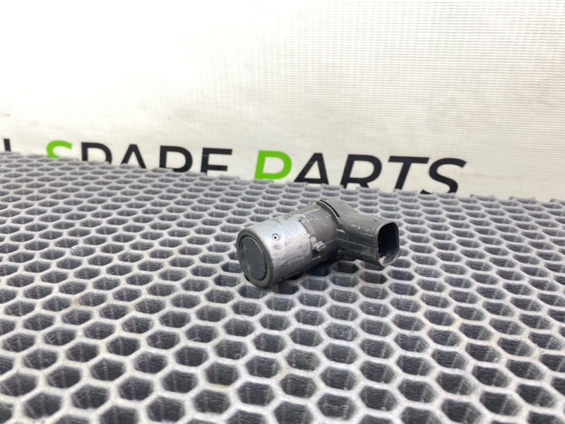 Парктроник, 1000 рублей, Калининград