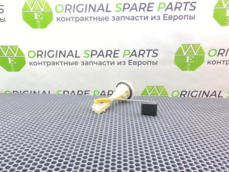 Дут, 2100 рублей, Калининград