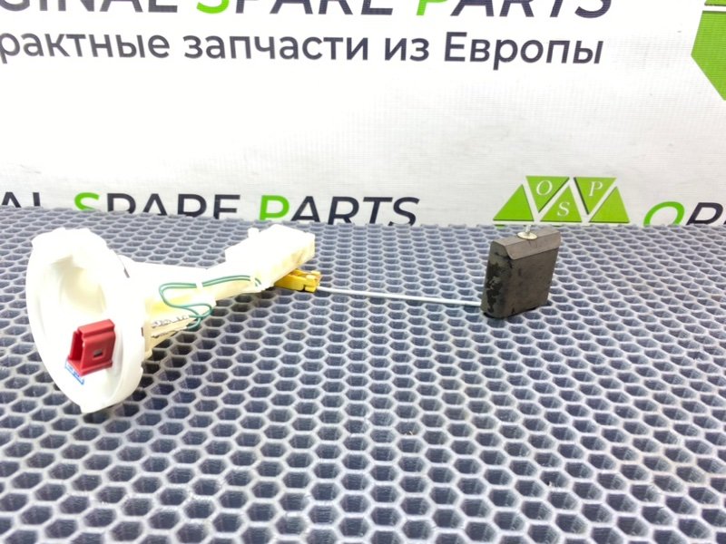 Дут, 2100 рублей, Калининград