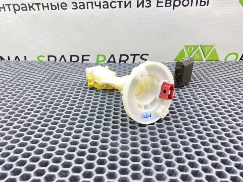 Дут, 2100 рублей, Калининград