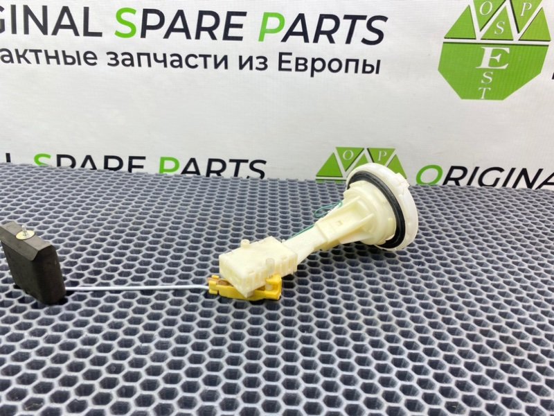 Дут, 2100 рублей, Калининград