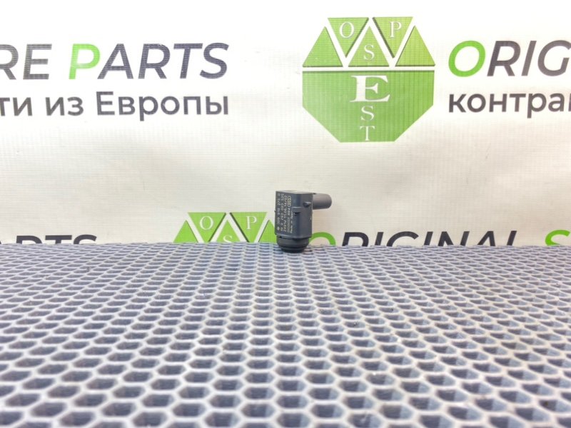 Парктроник, 1000 рублей, Калининград