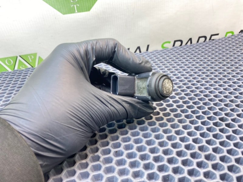 Парктроник, 1000 рублей, Калининград