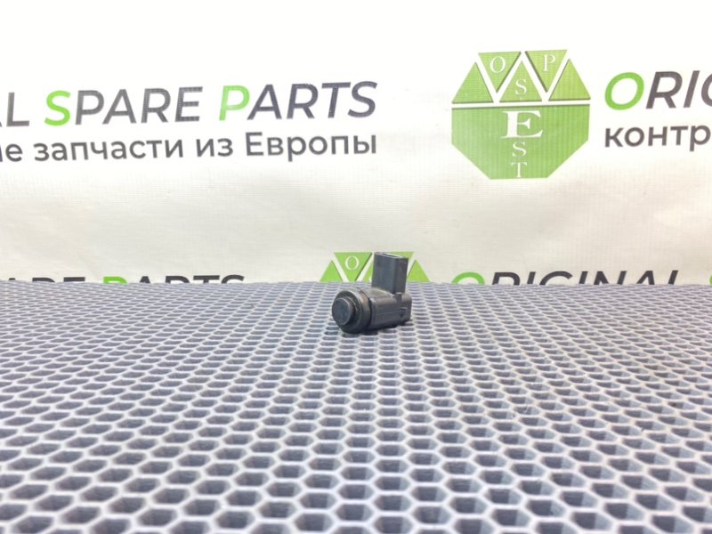 Парктроник, 1000 рублей, Калининград