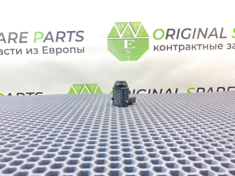 Парктроник, 1000 рублей, Калининград