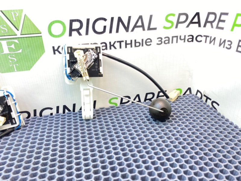 Дут, 2100 рублей, Калининград