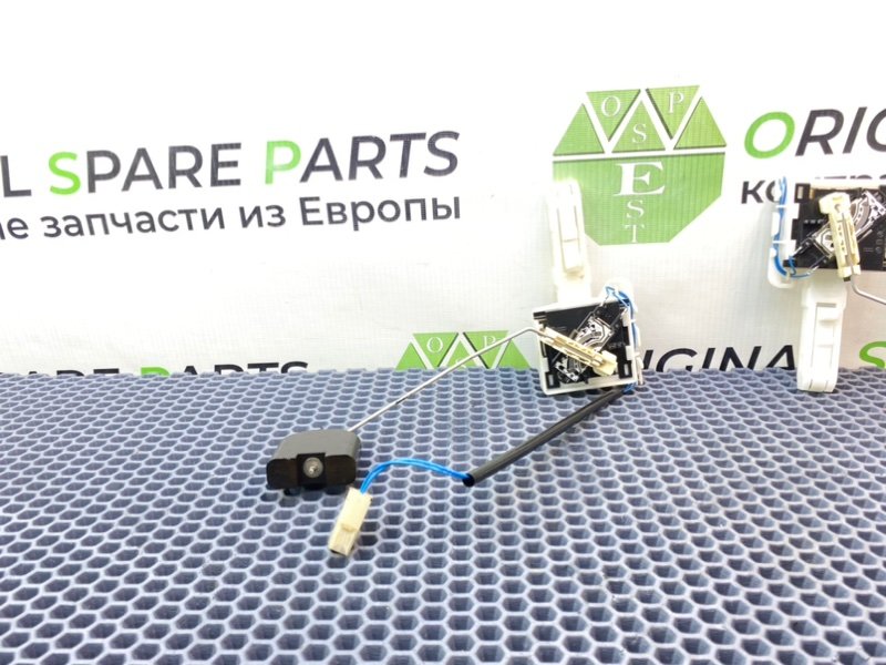 Дут, 2100 рублей, Калининград