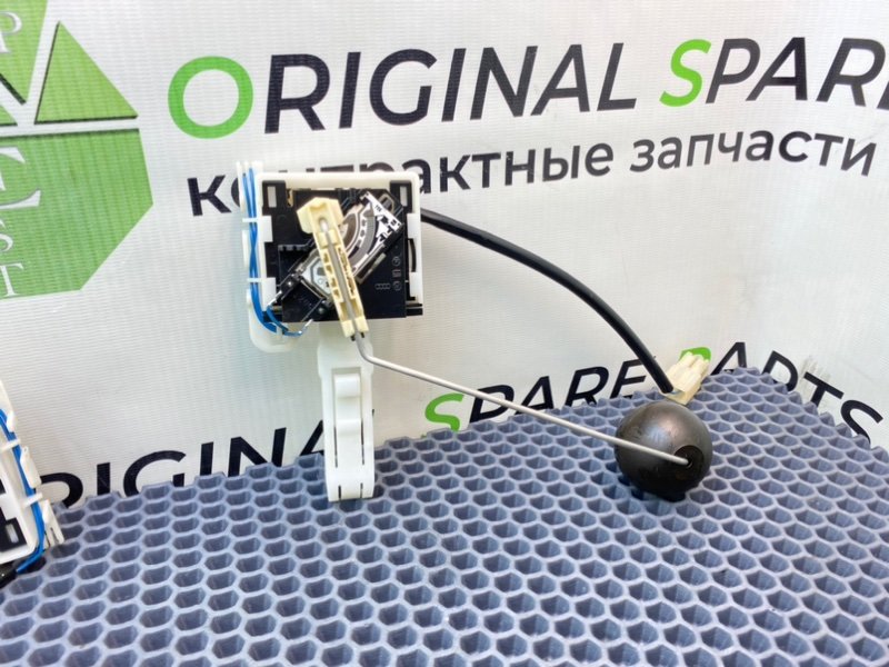 Дут, 2100 рублей, Калининград