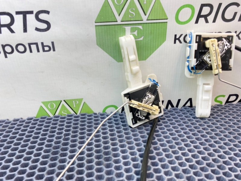 Дут, 2100 рублей, Калининград