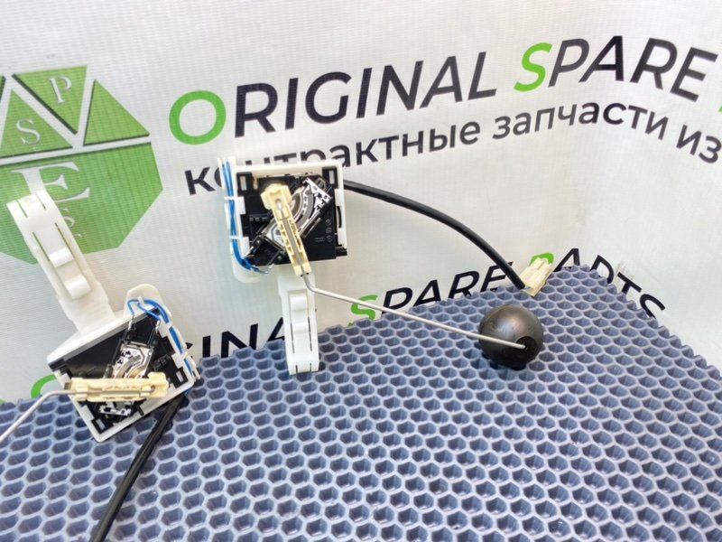 Дут, 2100 рублей, Калининград