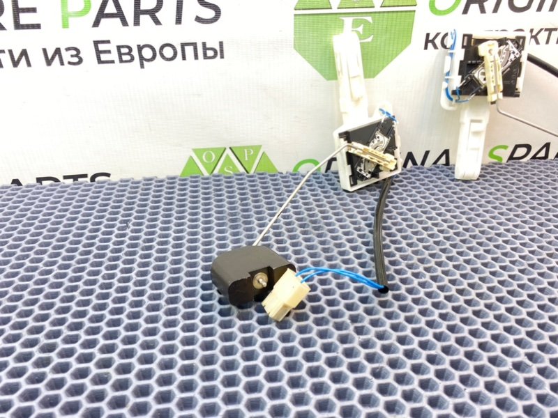 Дут, 2100 рублей, Калининград