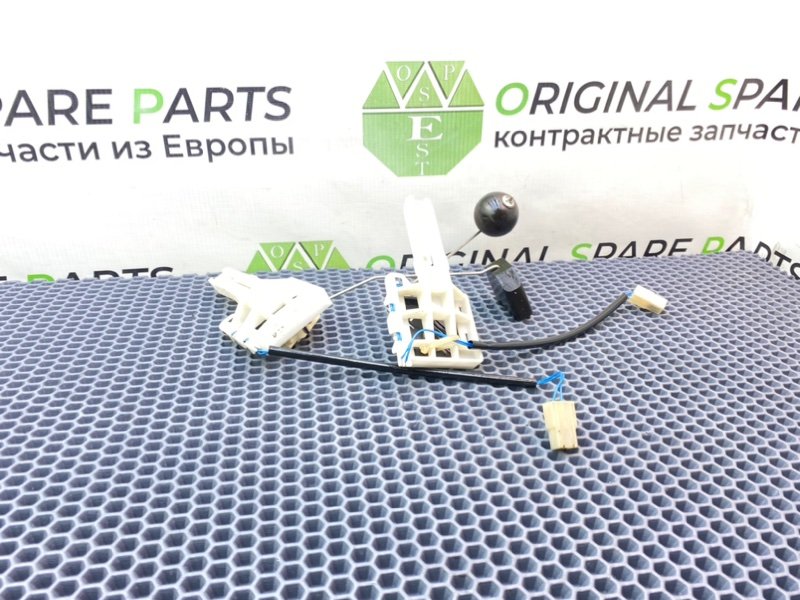 Дут, 2100 рублей, Калининград