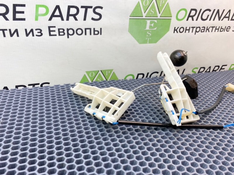 Дут, 2100 рублей, Калининград