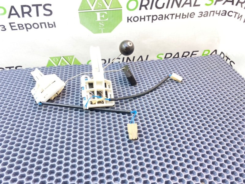 Дут, 2100 рублей, Калининград