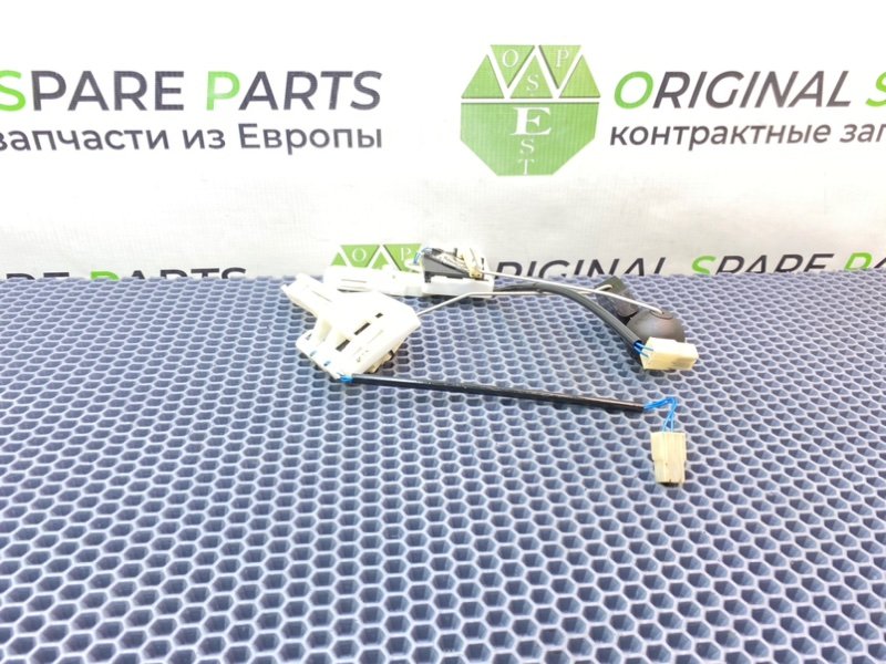 Дут, 2100 рублей, Калининград