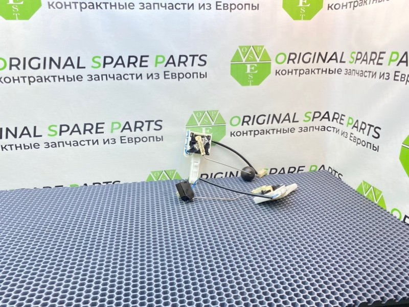 Дут, 2100 рублей, Калининград